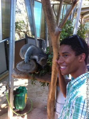 Theo et le koala